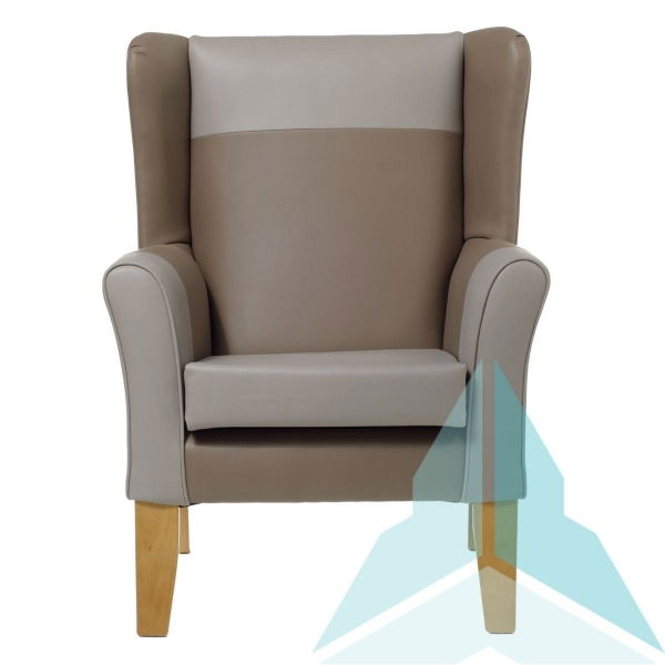 Wynslow Armchair in Zest Mink