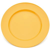 22cm Wide Rim Polycarbonate Dessert Plates