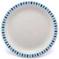 17cm Polycarbonate Plates With Patterned Rim