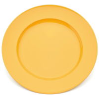 24cm Wide Rim Dinner Plate, Yellow