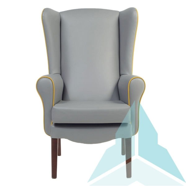 Ashford Armchair in Zest Ash