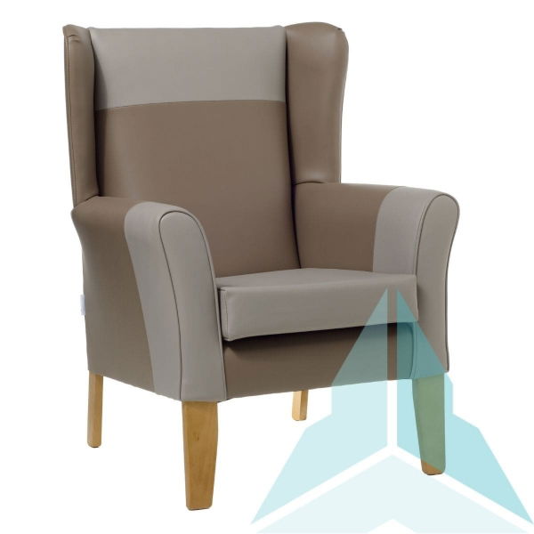 Wynslow Armchair in Zest Mink