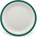 17cm Polycarbonate Plates With Coloured Rim