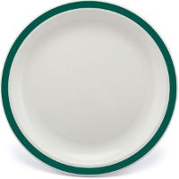 17cm Polycarbonate Plates With Coloured Rim