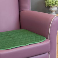 Washable Chair Pad, Green