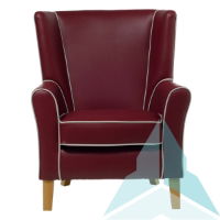 Oxford Armchair in Zest Wine