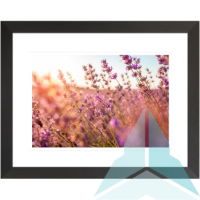 Lavender Field Artwork, 50x40cm Black Frame