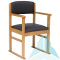 Hadley Dining Chair With Skis in Zest Graphite, Oak