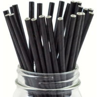 Black Paper Straws