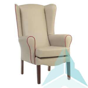 Ashford Armchair in Zest Putty