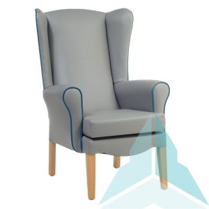 Ashford Armchair in Zest Ash