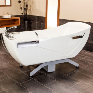 Tilt In Space Reclining Care Bath