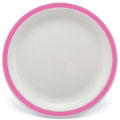 23cm Polycarbonate Plates With Coloured Rim