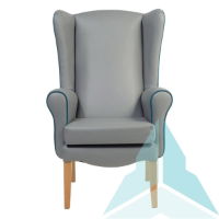 Ashford Armchair in Zest Ash