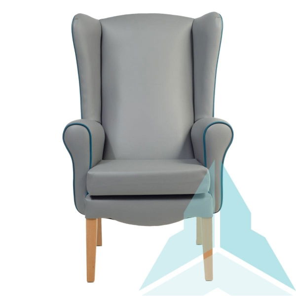 Ashford Armchair in Zest Ash