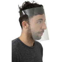 Face Visor