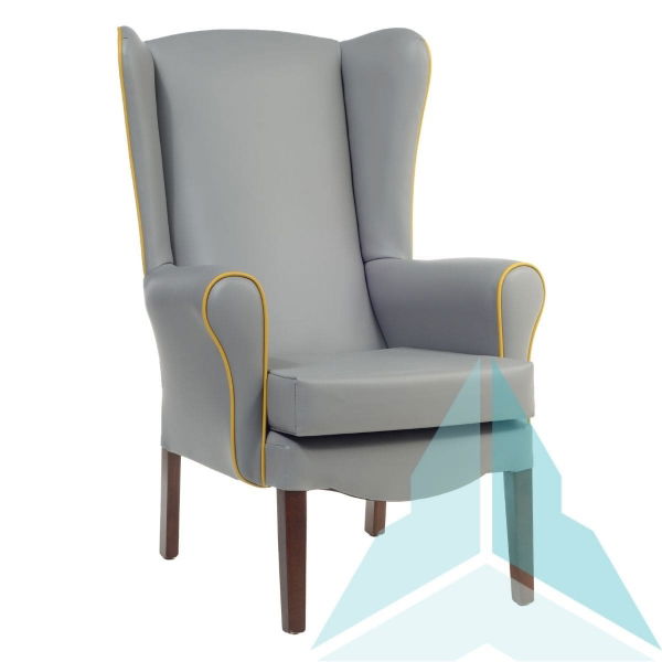 Ashford Armchair in Zest Ash