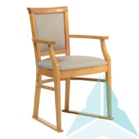 Kinley Dining Chair with Skis in Zest Cobble