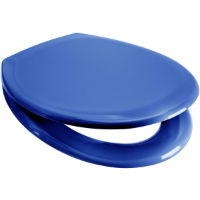 Blue Soft Close Toilet Seat