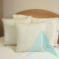 Havana Teal Cushion